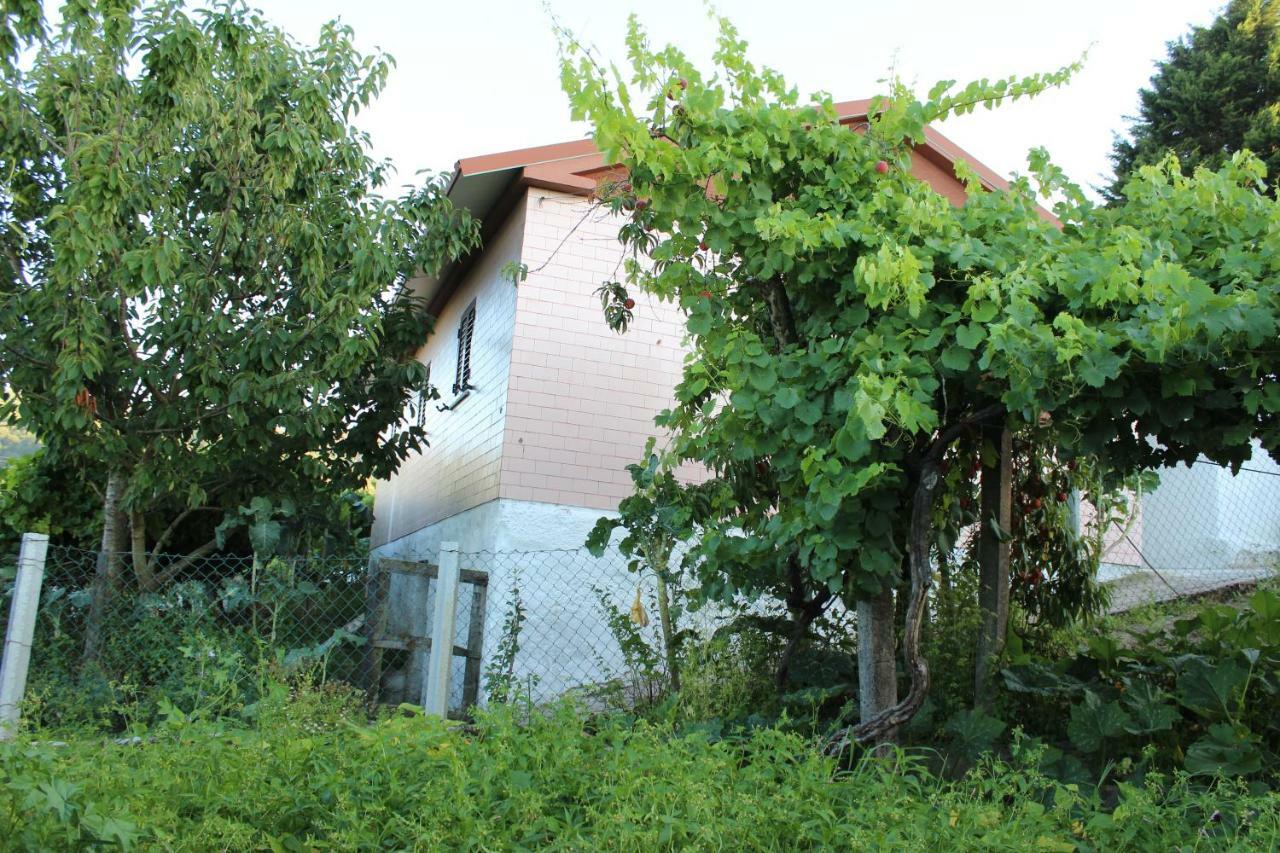 Alojamento Da Ribeirinha Carquere Exterior foto