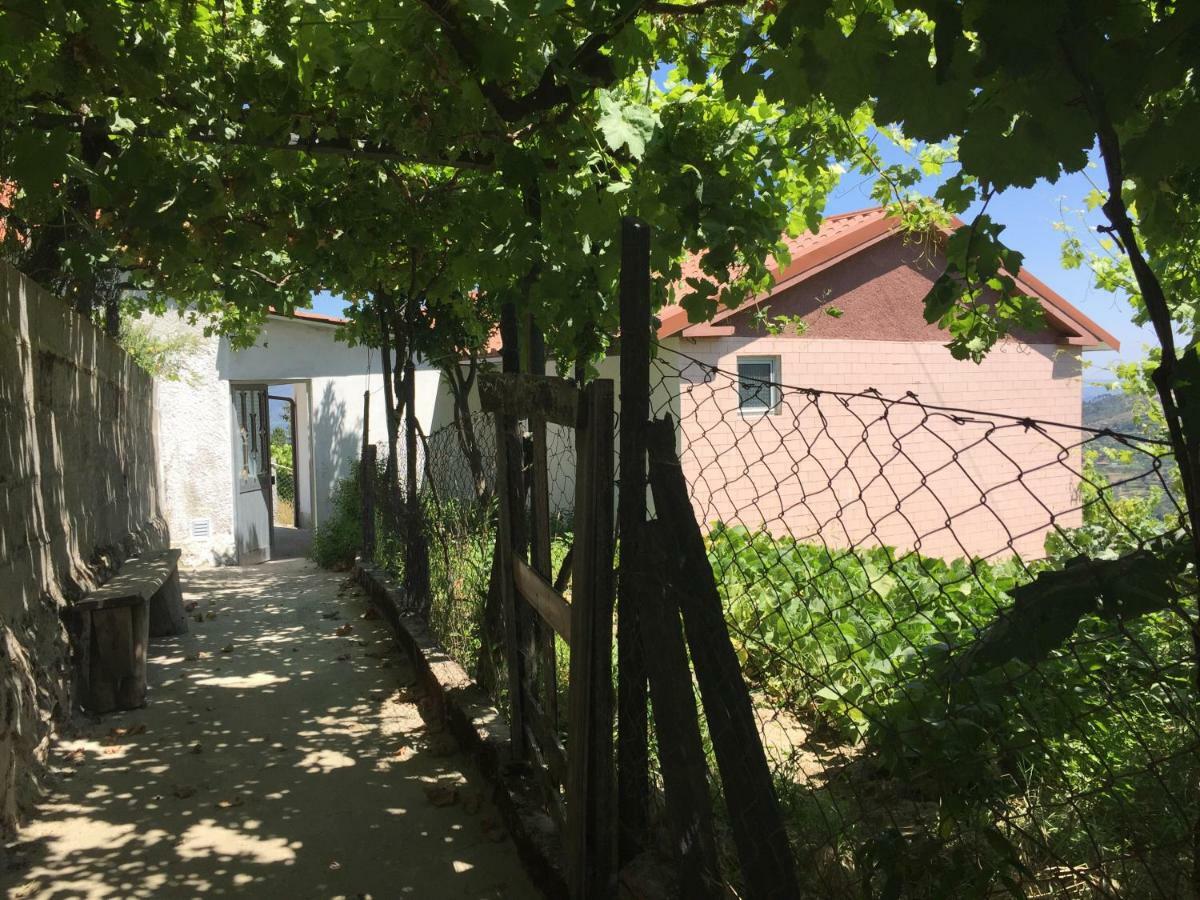 Alojamento Da Ribeirinha Carquere Exterior foto